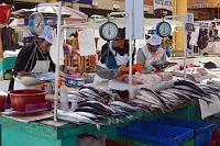 Frischfisch...  ...gibt's auch reichlich. Nach allem, was wir noch zu Hause über die Auswirkungen des aktuell langandauernden El Niño-Phänomens erfahren hatten, soll neben der Tierwelt auch die peruanische Küstenfischerei nachhaltig durch Ausbleiben der großen Fischschwärme in Mitleidenschaft gezogen worden sein.  Ein Mangel, der sich uns nicht unmittelbar erschloß. Es fehlt uns allerdings auch der Vergleich zu Vorjahren und der Einblick in industrielle Daten.