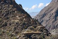 Pinkuylluna  Am gegenüberliegenden Berghang stehen die Ruinen von "Pinkuylluna", eine Ansammlung von hausartigen Lagerhäusern, in denen die landwirtschaftlichen Erzeugnisse des Tales dauerhaft gelagert wurden. Auch diese Ruinen lassen sich auf einer ca. zweistündigen Wanderung besuchen, waren aber wegen unseres begrenzten Zeitrahmens nicht mehr 'machbar', zumal unsere Aufmerksamkeit im weiteren Verlauf des Tages von anderen Ereignissen gefesselt wurde. Davon später mehr...