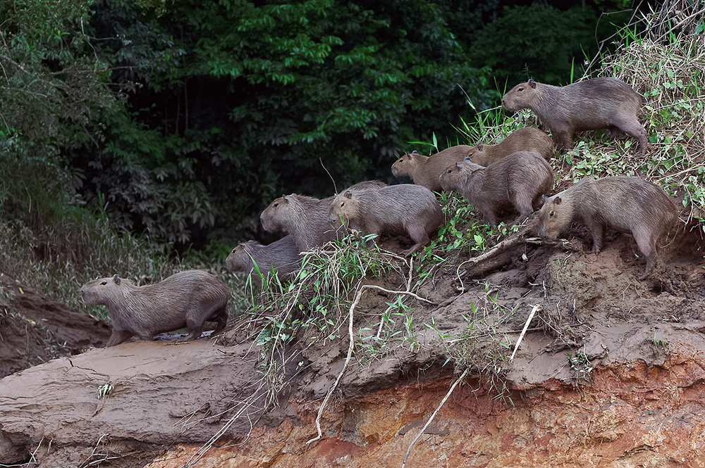 Wenn man schon mal da ist...