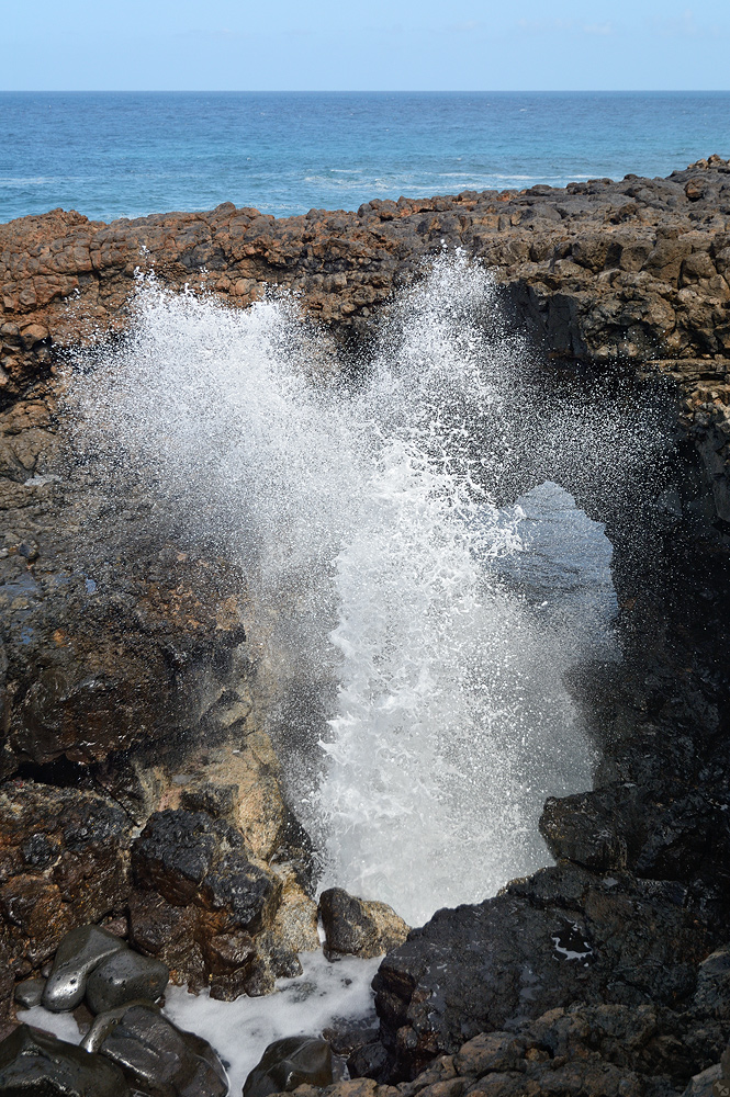 Blowhole