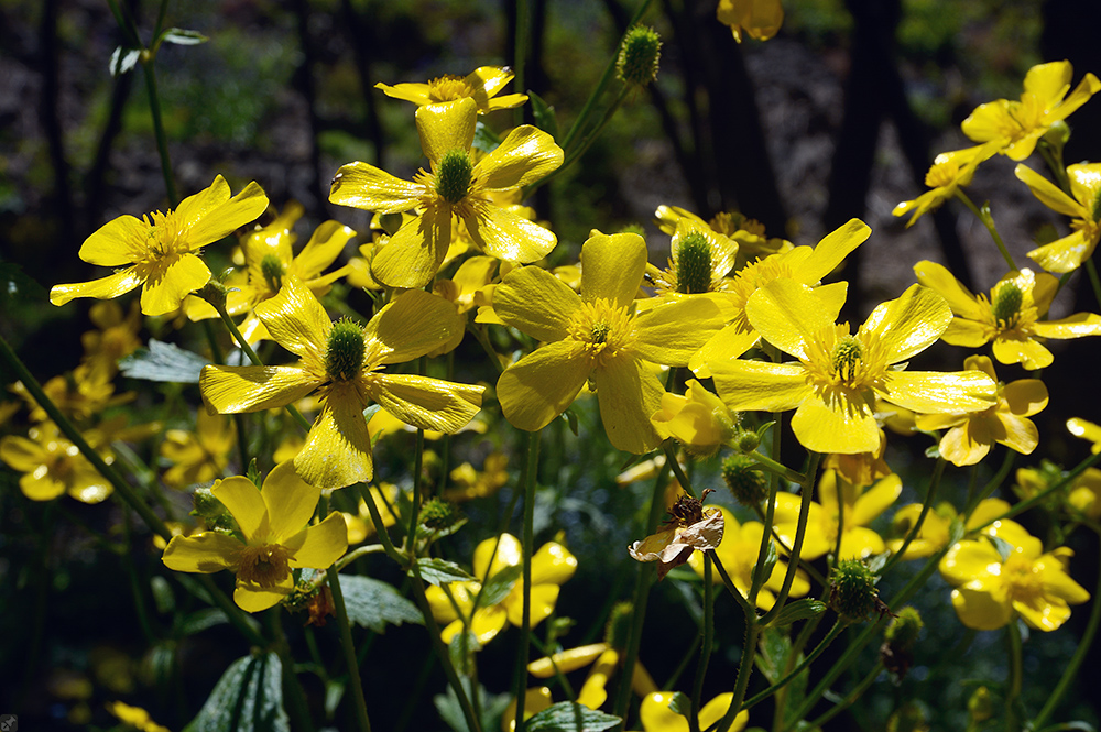 Größer, höher, weiter...
