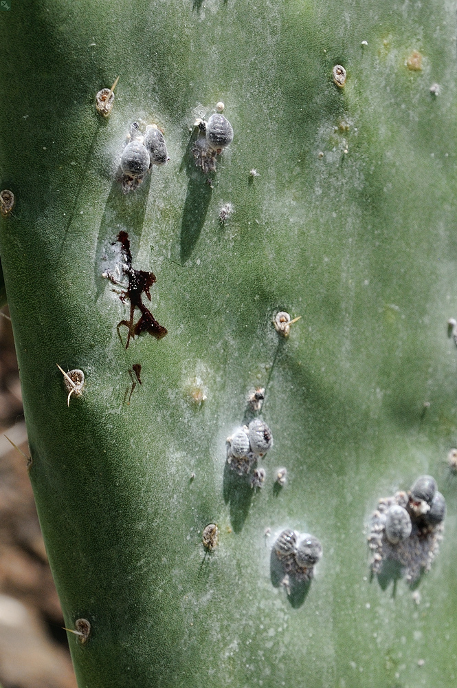 Ich kann es nicht lassen
