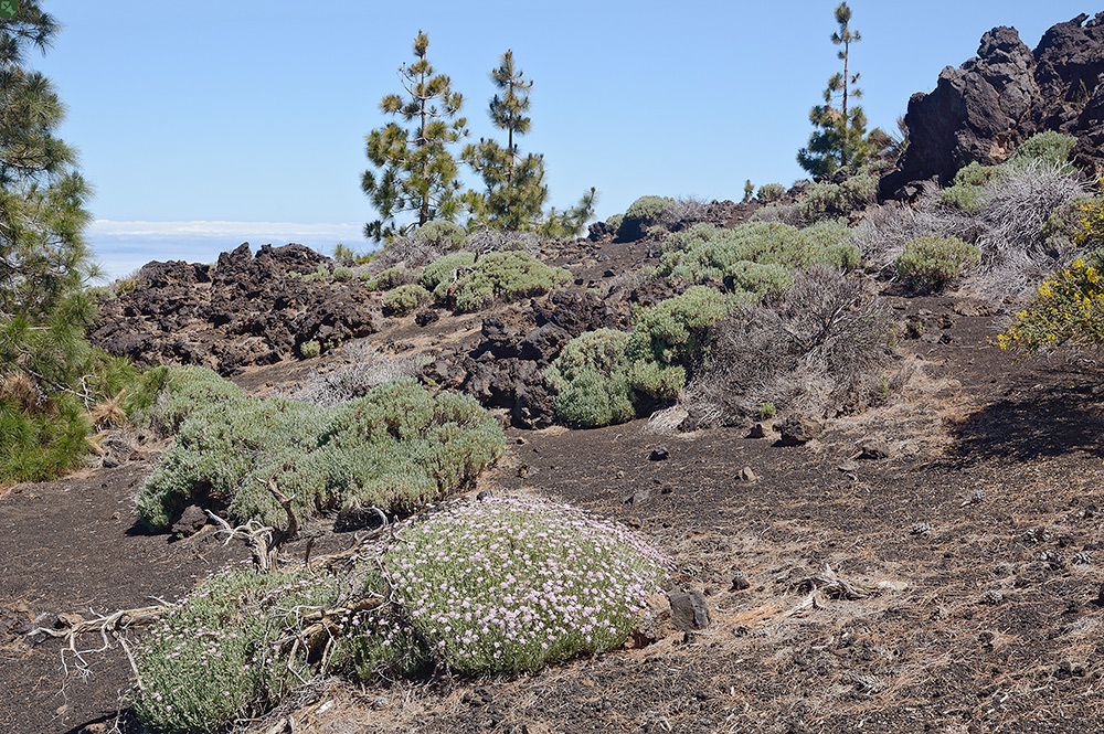 Mondlandschaft mit bunten Flecken