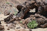 Auswurfgestein  Ausgedehnte Flächen feinkörnigen Bimsgesteins in heller Farbtönung werden unterbrochen von großen Brocken rötlich gefärbten Auswurfgesteins, teilweise stark oxidiert und zu bizarren Formen erodiert.
