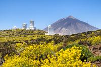 Wettleuchten  Von oben leuchtet die Sonne, am Boden ein dichter Teppich der auf Teneriffa und La Palma endemischen Besenrauke  Descurainia bourgaeana . Und dazwischen leuchten die weißen Kuppeln des Teide-Observatoriums, einem der weltweit größten und renommiertesten Institute der Sonnenforschung. Man fühlt sich erleuchtet...   Flixweed  (Descurainia bourgaeana)