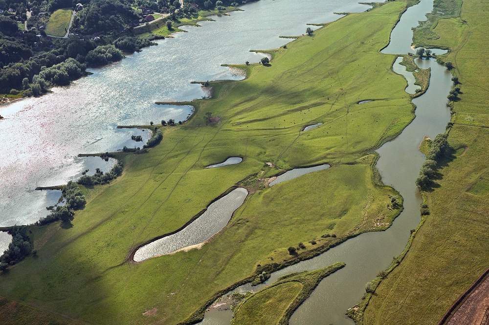 Niedersächsische Elbtalaue