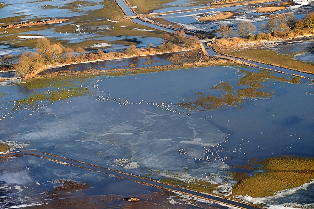 Vom Leben an der Packeiskante ;-)